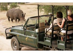 Rhino Game drive